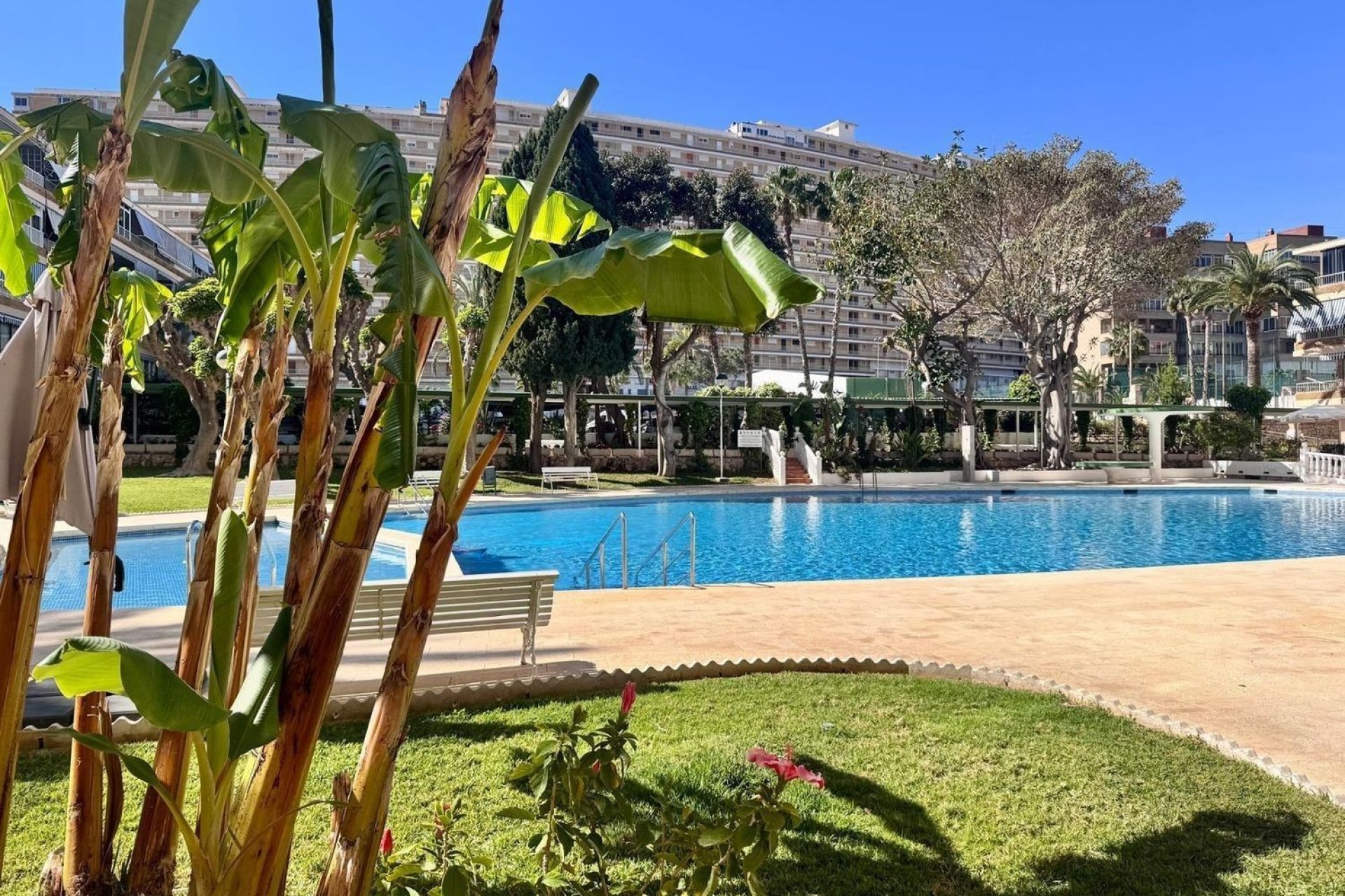Resale - Apartment - Alicante - Alicante (San Juan)