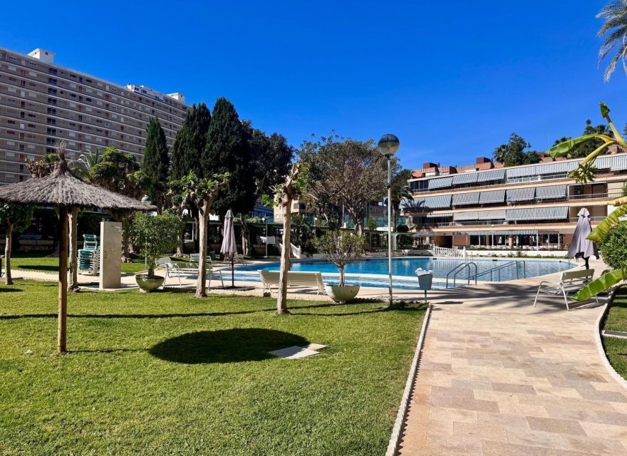 Resale - Apartment - Alicante - Alicante (San Juan)