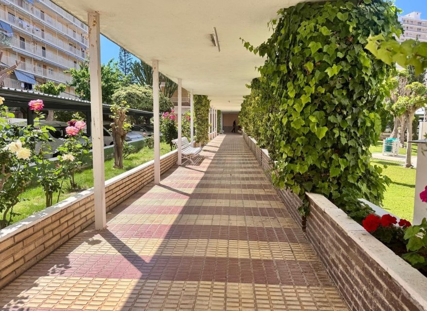 Resale - Apartment - Alicante - Alicante (San Juan)
