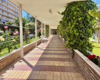 Resale - Apartment - Alicante - Alicante (San Juan)