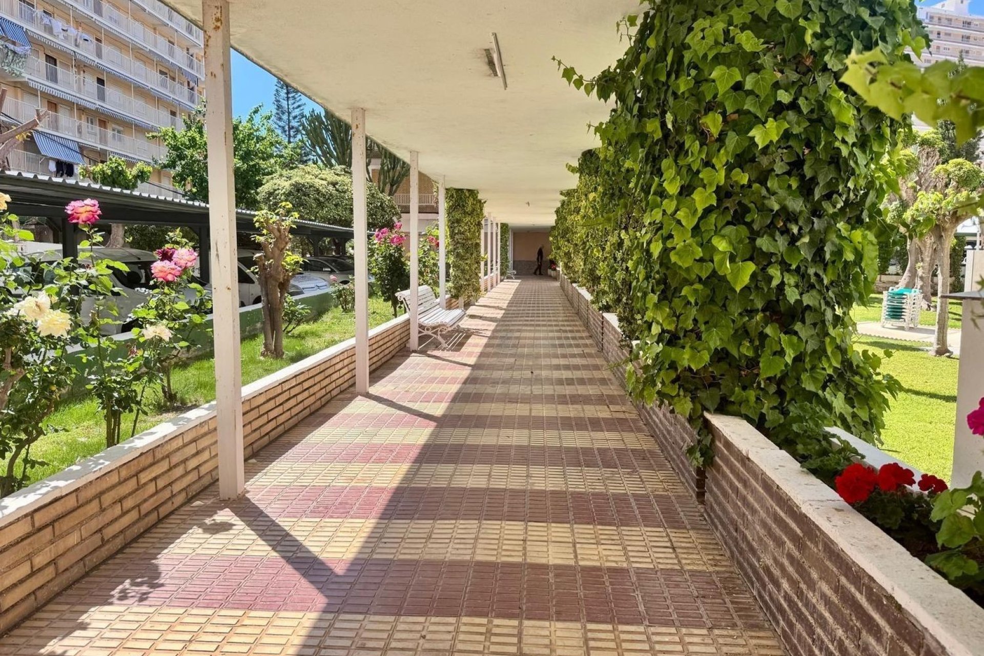 Resale - Apartment - Alicante - Alicante (San Juan)