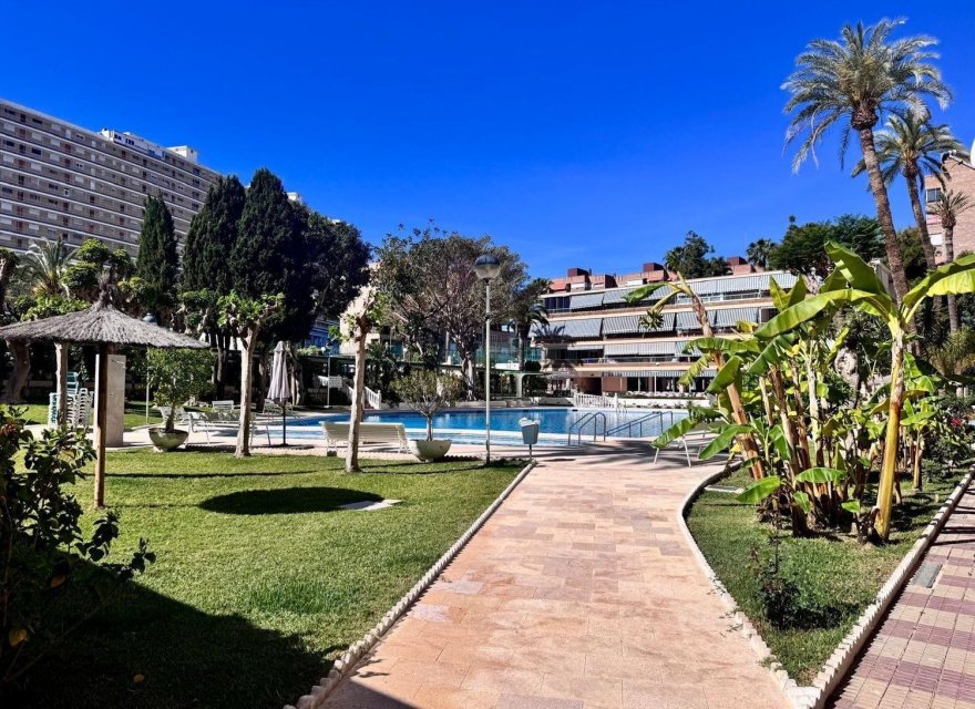 Resale - Apartment - Alicante - Alicante (San Juan)