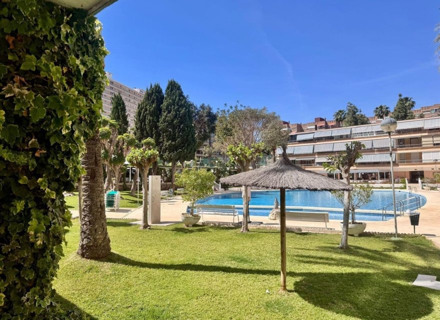 Resale - Apartment - Alicante - Alicante (San Juan)