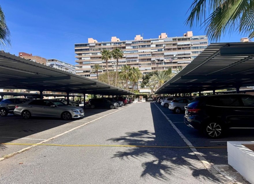 Resale - Apartment - Alicante - Alicante (San Juan)