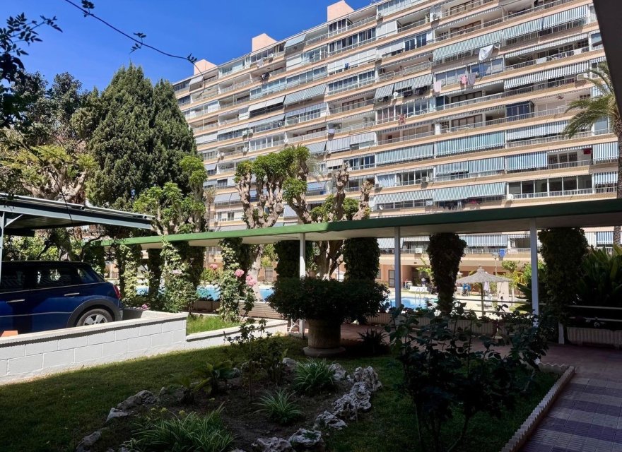 Resale - Apartment - Alicante - Alicante (San Juan)