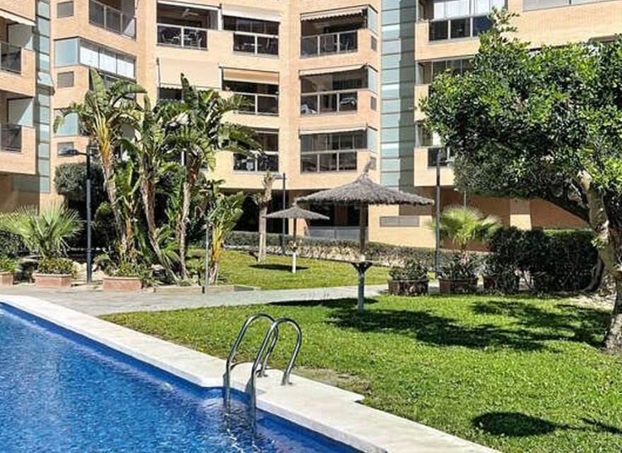 Resale - Apartment - Alicante - Babel