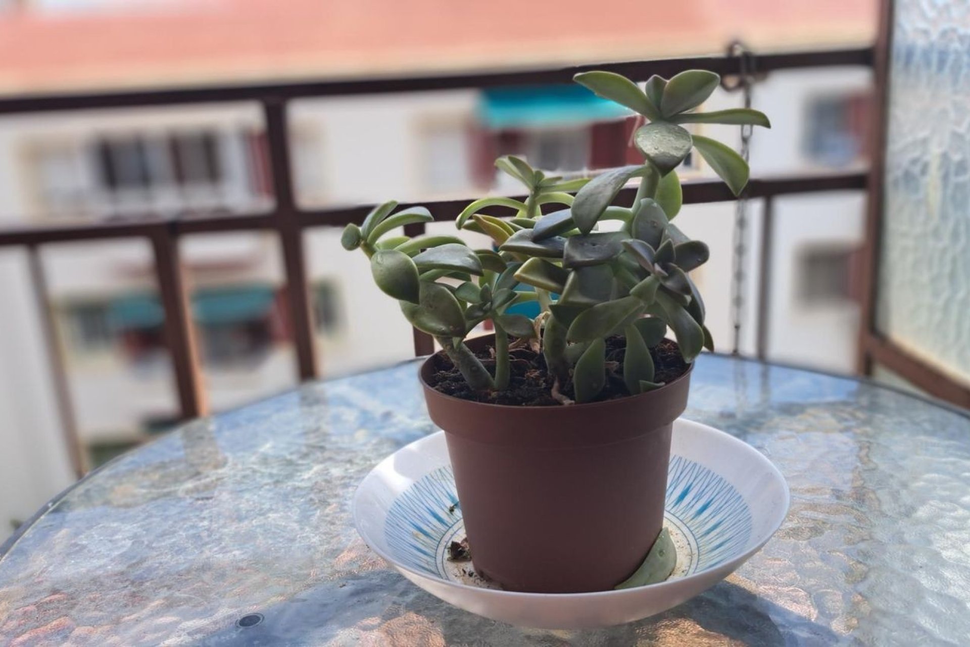 Resale - Apartment - Alicante - Carolinas Altas