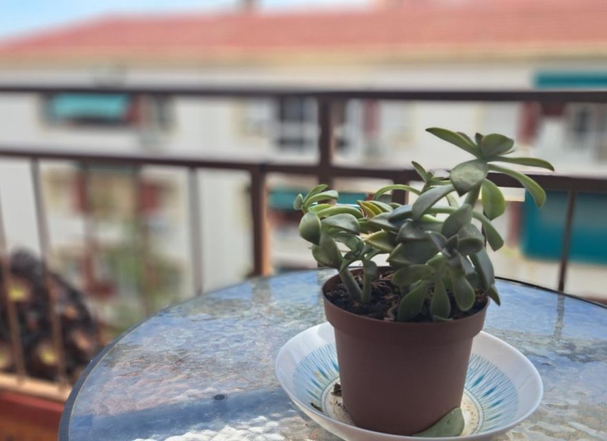 Resale - Apartment - Alicante - Carolinas Altas