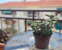 Resale - Apartment - Alicante - Carolinas Altas