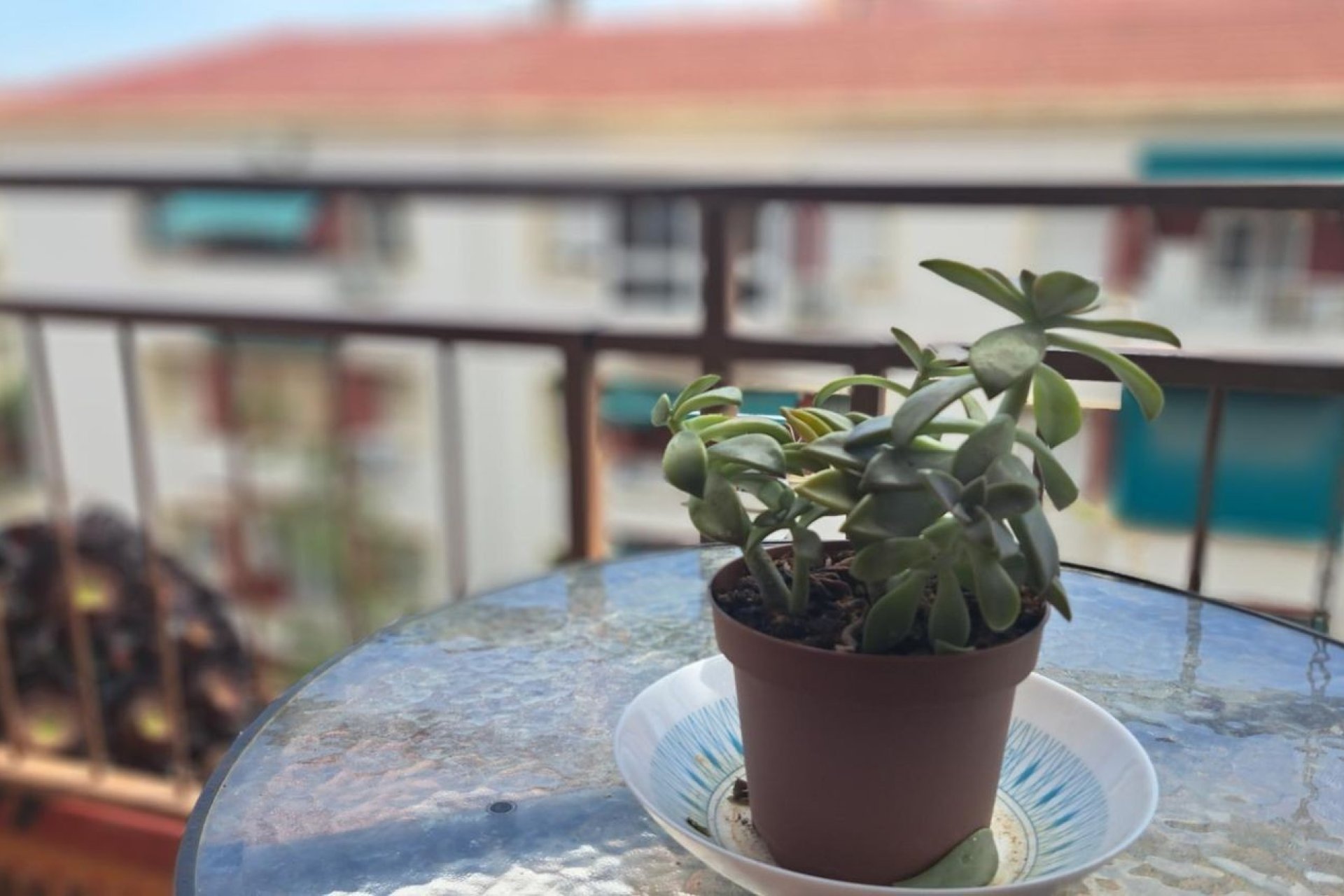 Resale - Apartment - Alicante - Carolinas Altas
