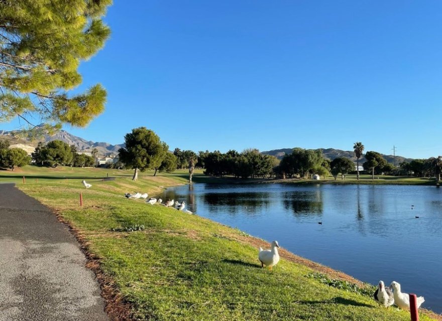 Resale - Apartment - Alicante (San Juan) - Club De Golf Bonalba