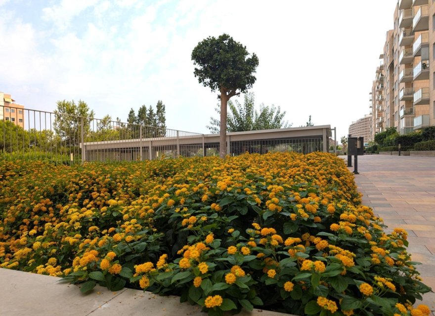 Resale - Apartment - Alicante - San Juan de Alicante