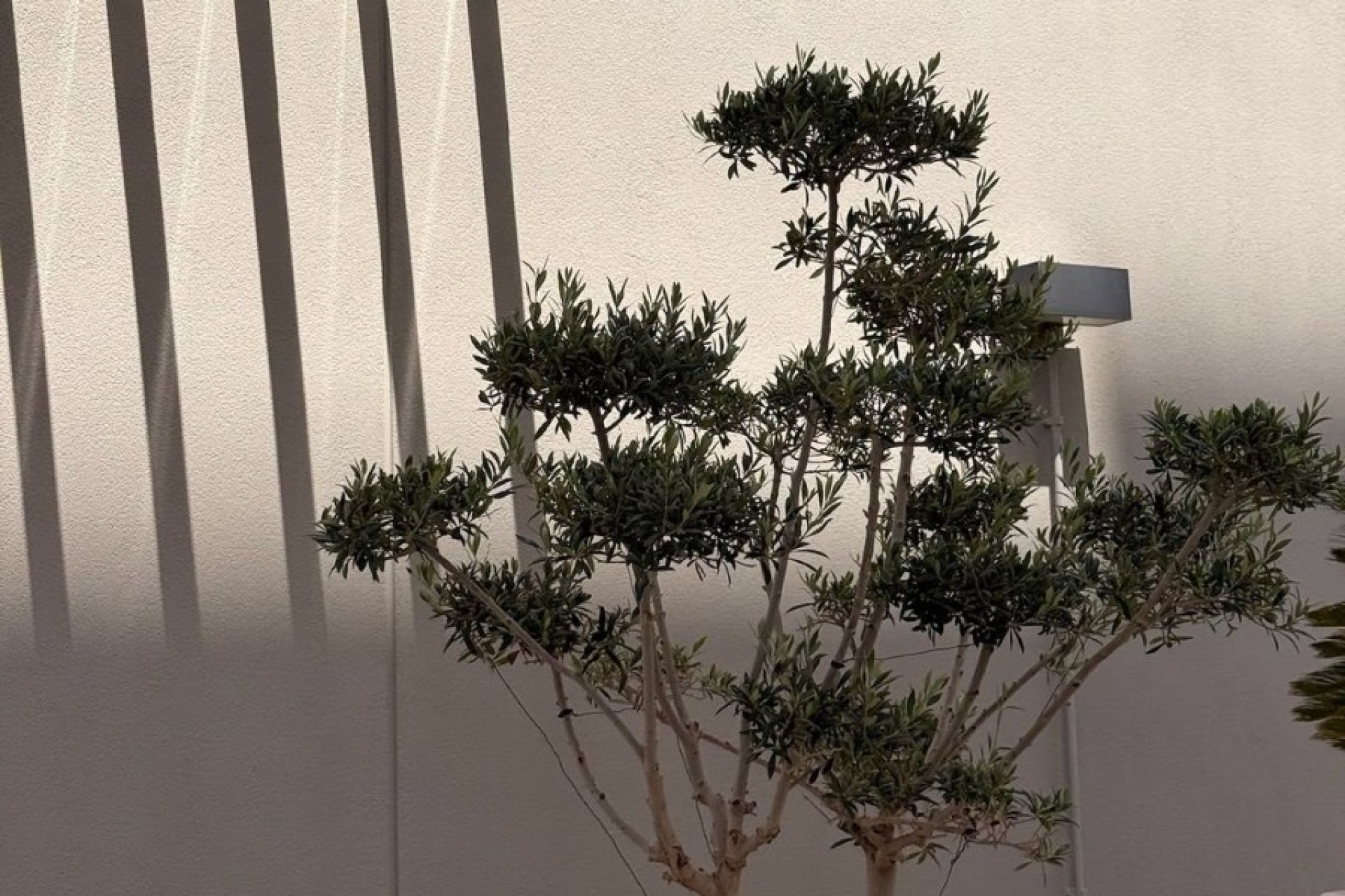 Resale - Apartment - Alicante (San Juan) - San Juan de Alicante