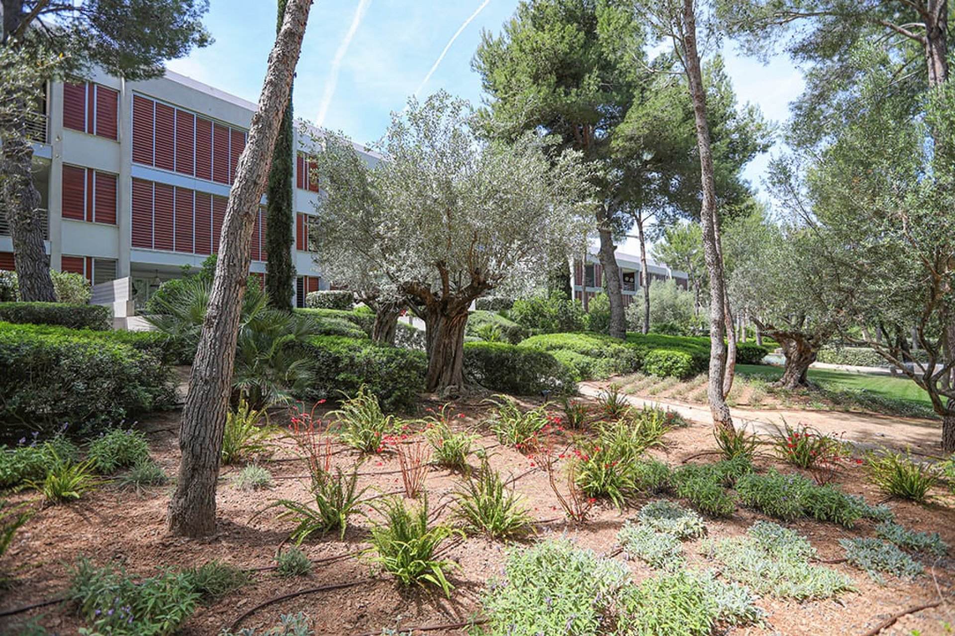 Resale - Apartment - Bendinat