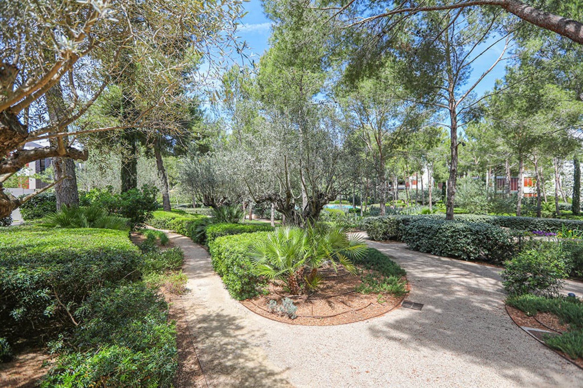 Resale - Apartment - Bendinat