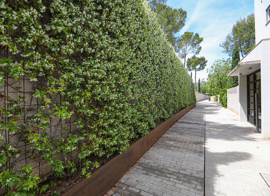 Resale - Apartment - Bendinat