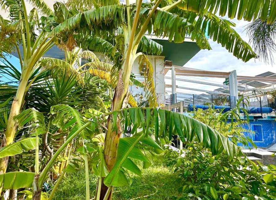 Resale - Apartment - Benidorm - Finestrat