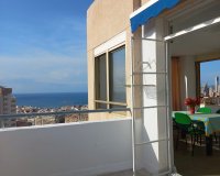 Resale - Apartment - Benidorm - Juzgados