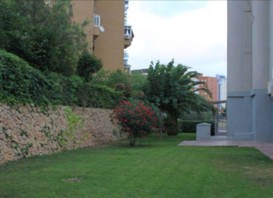 Resale - Apartment - Benidorm - Juzgados