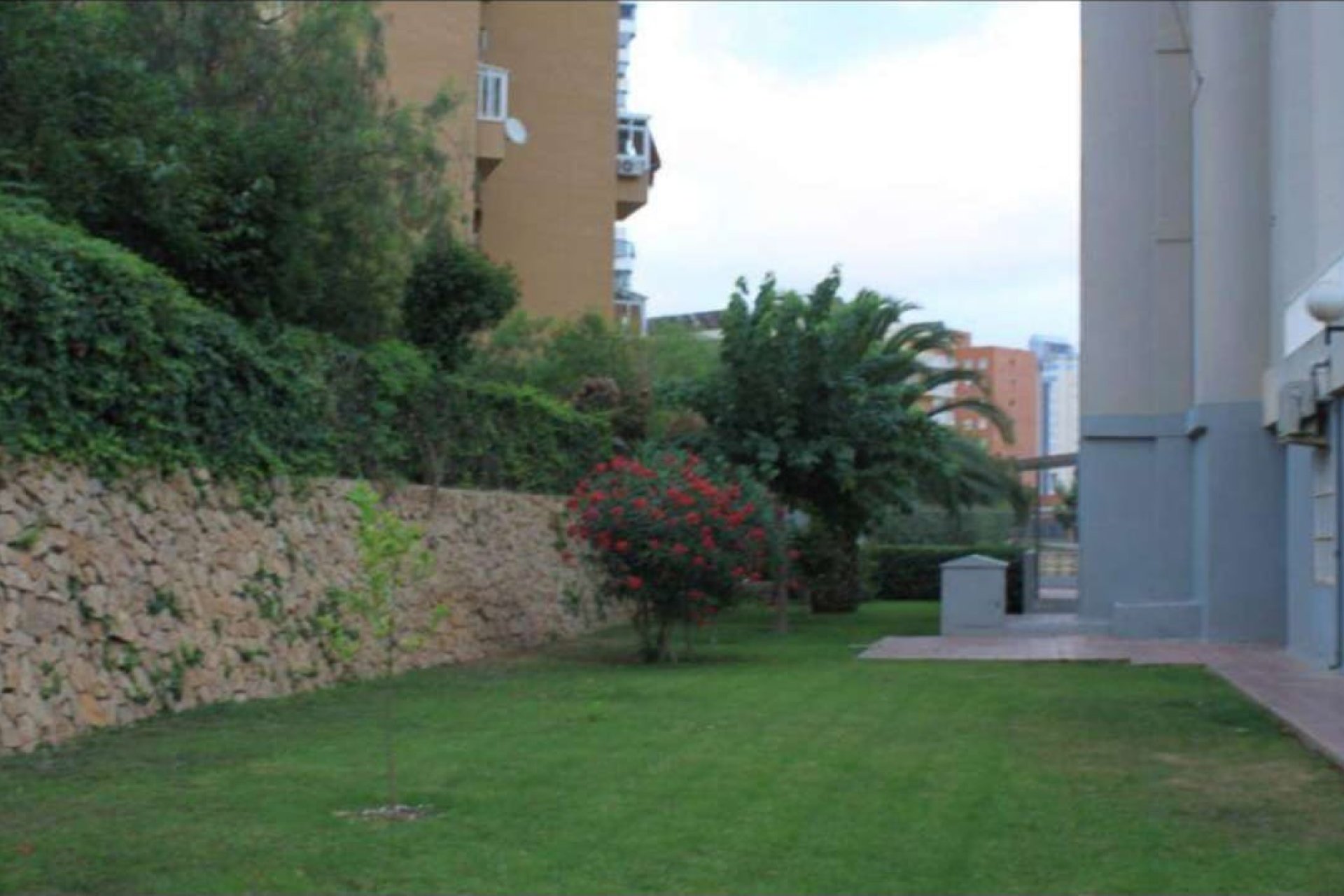 Resale - Apartment - Benidorm - Juzgados