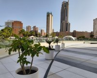 Resale - Apartment - Benidorm - Playa Poniente