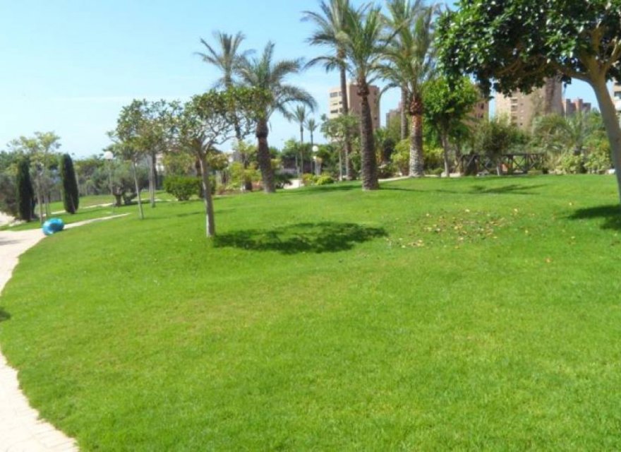 Resale - Apartment - Benidorm - Poniente