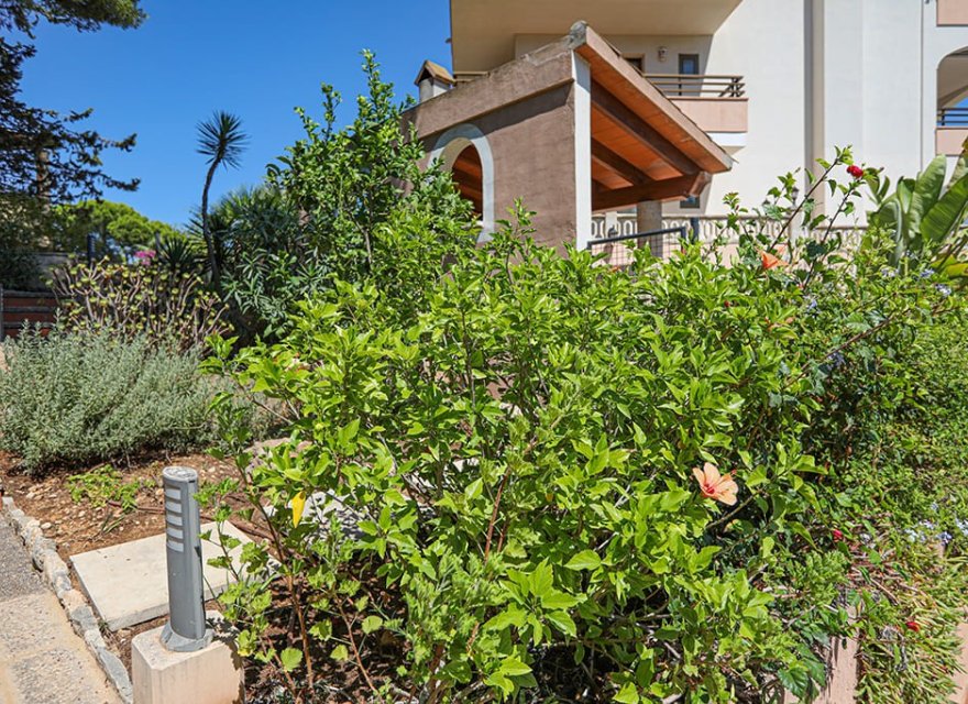 Resale - Apartment - Cala Viñes