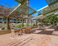 Resale - Apartment - Denia - Puerto