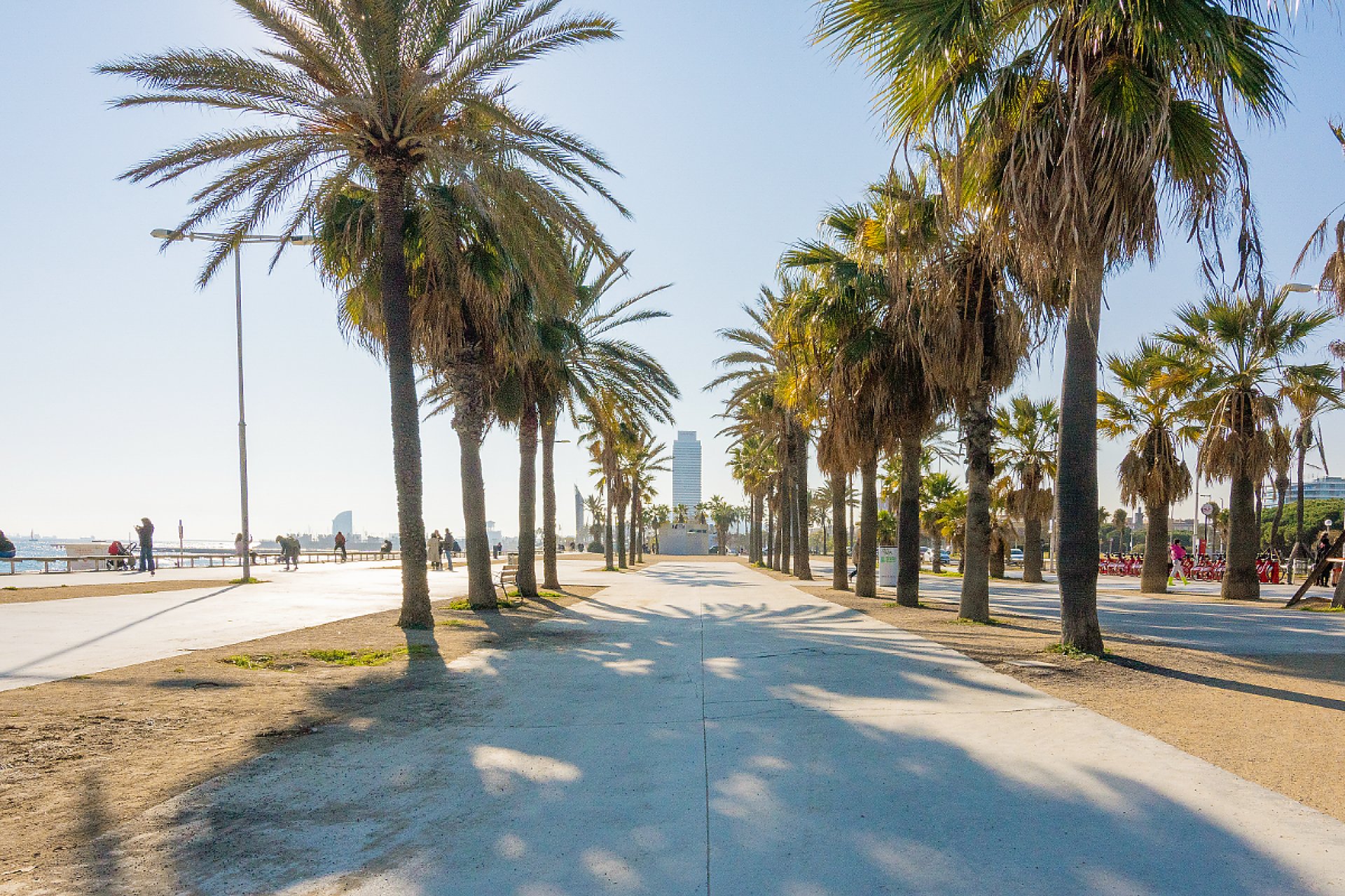 Resale - Apartment - Diagonal Mar