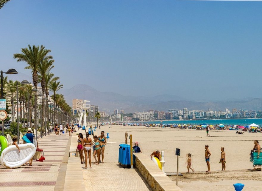 Resale - Apartment - El Campello - Playa Muchavista