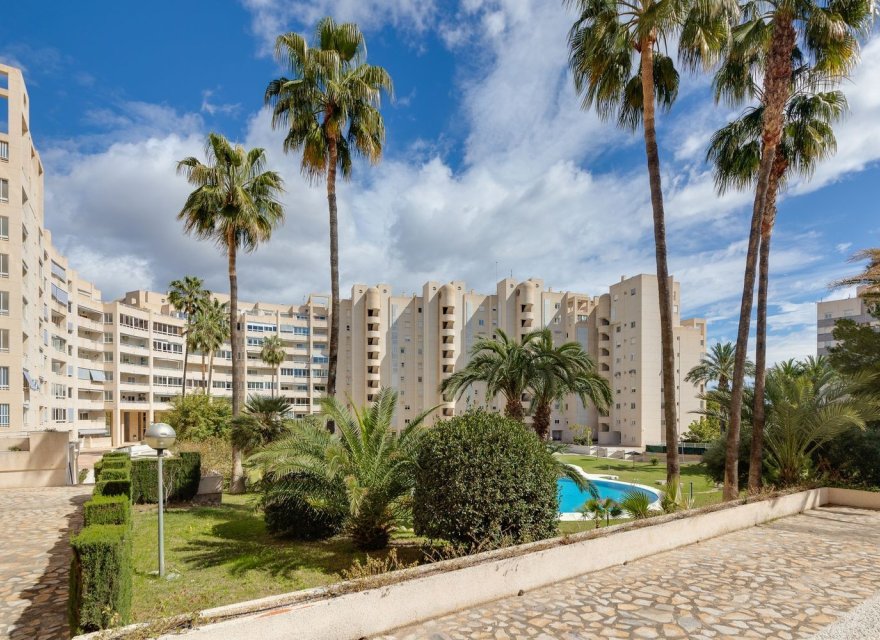 Resale - Apartment - El Campello - Playa Muchavista