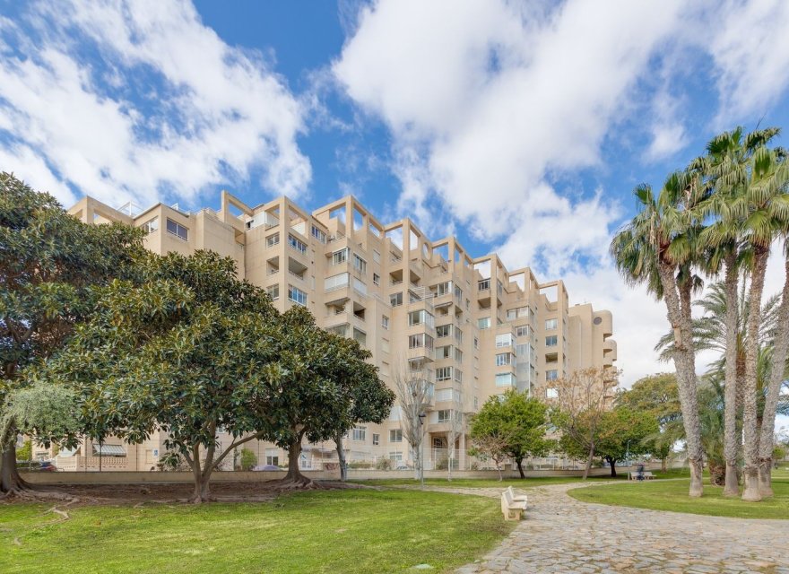 Resale - Apartment - El Campello - Playa Muchavista