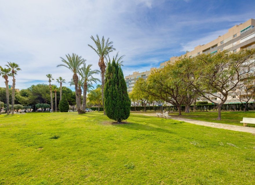 Resale - Apartment - El Campello - Playa Muchavista