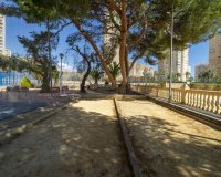 Resale - Apartment - El Campello - Playa Muchavista