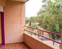 Resale - Apartment - Guardamar del Segura - Center