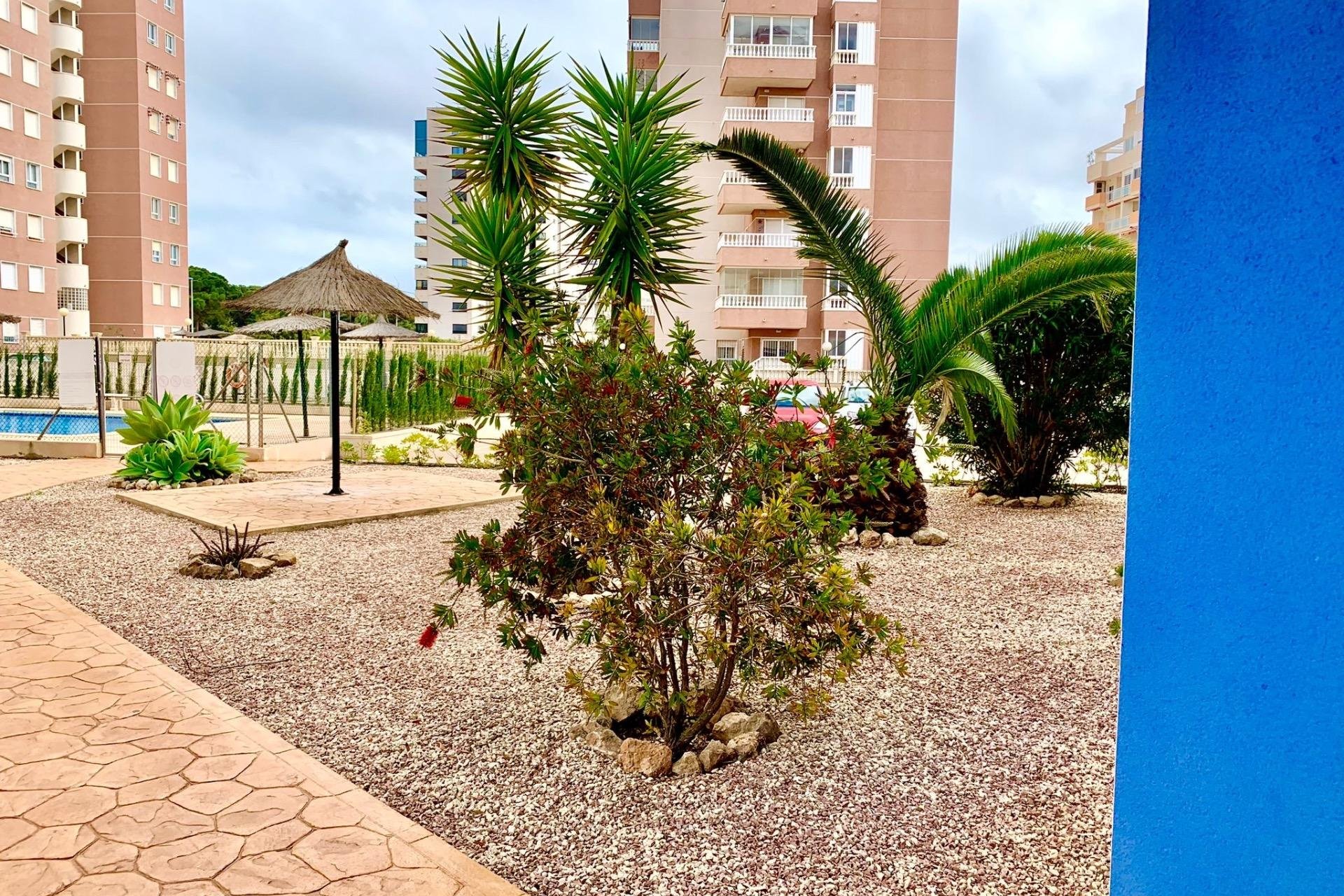 Resale - Apartment - Guardamar del Segura - Puerto