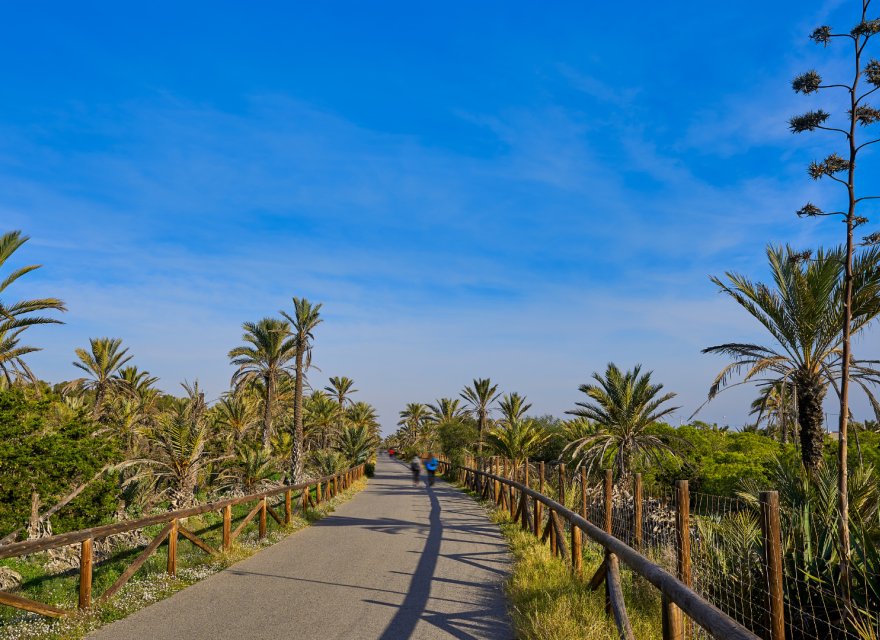 Resale - Apartment - Guardamar del Segura