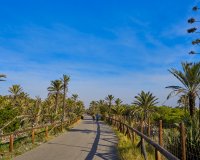 Resale - Apartment - Guardamar del Segura