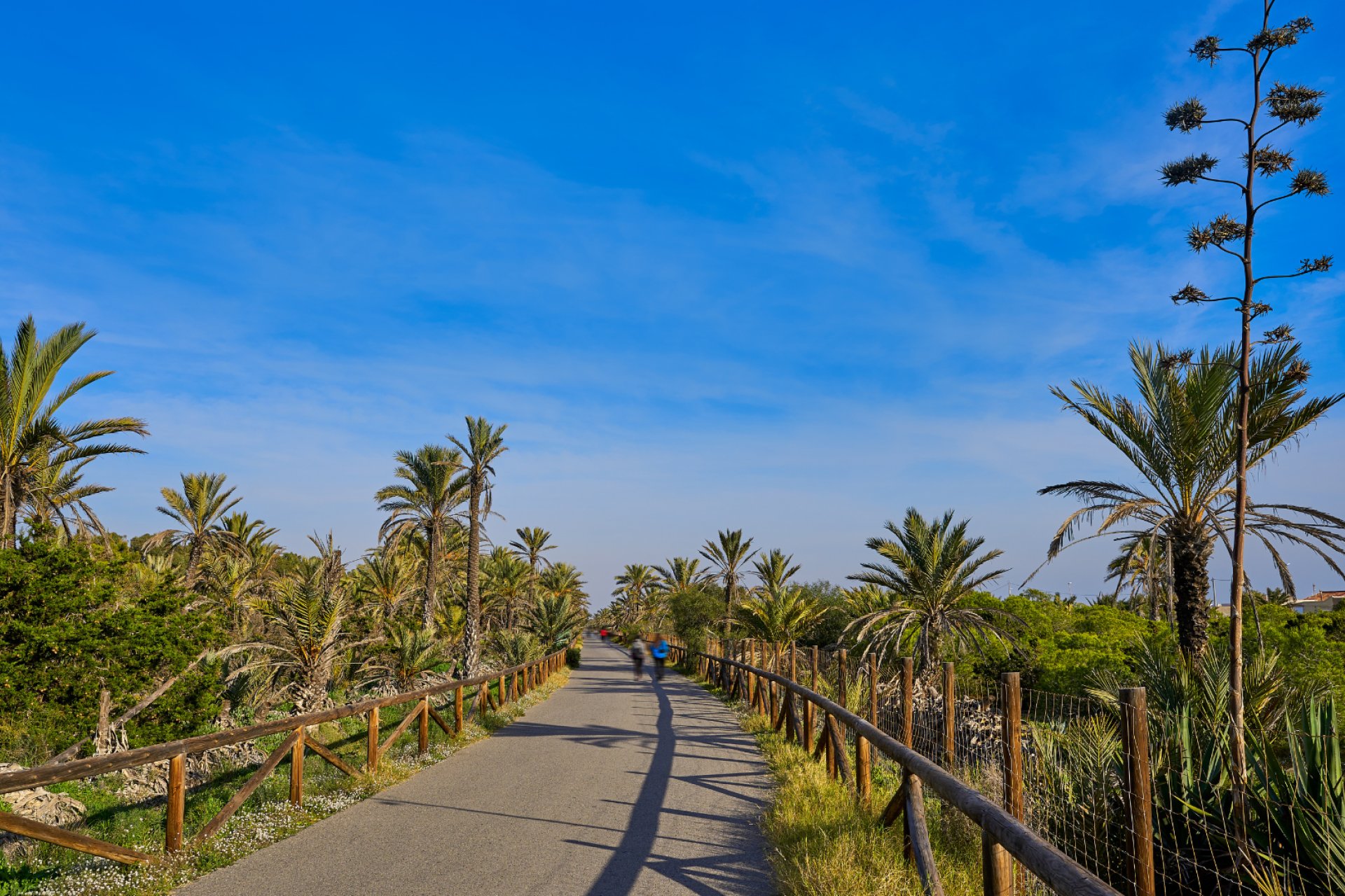 Resale - Apartment - Guardamar del Segura