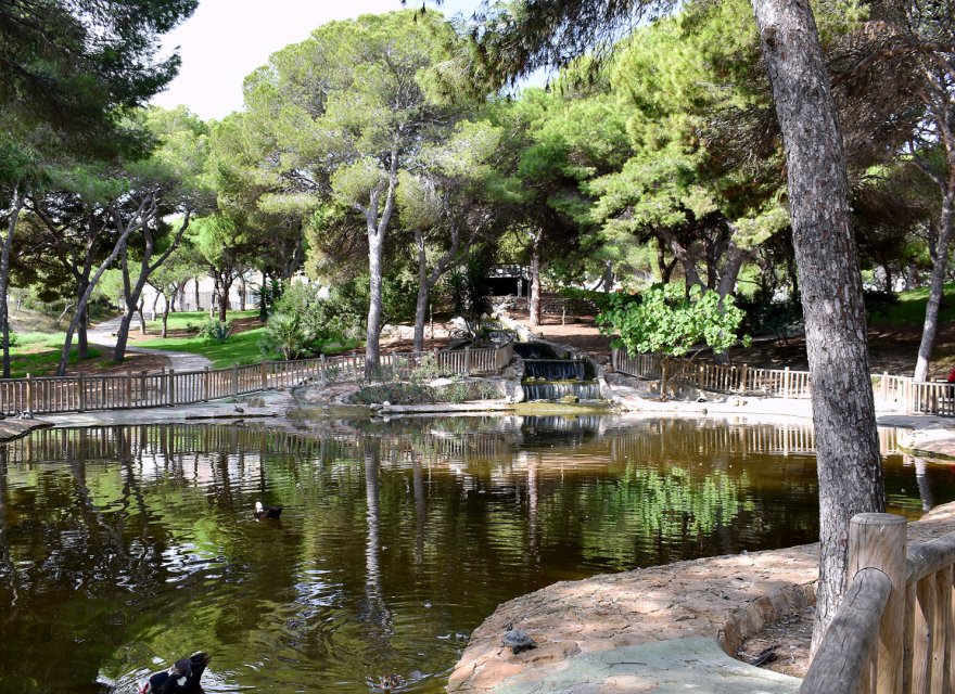 Resale - Apartment - Guardamar del Segura