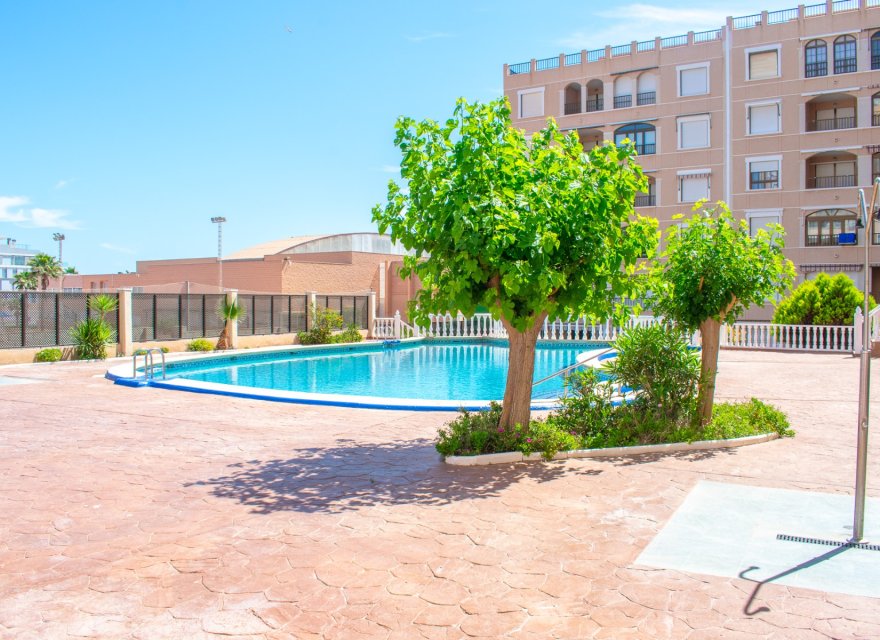 Resale - Apartment - Guardamar del Segura