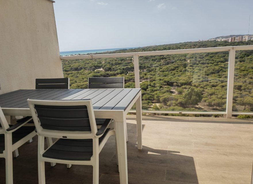 Resale - Apartment - Guardamar del Segura