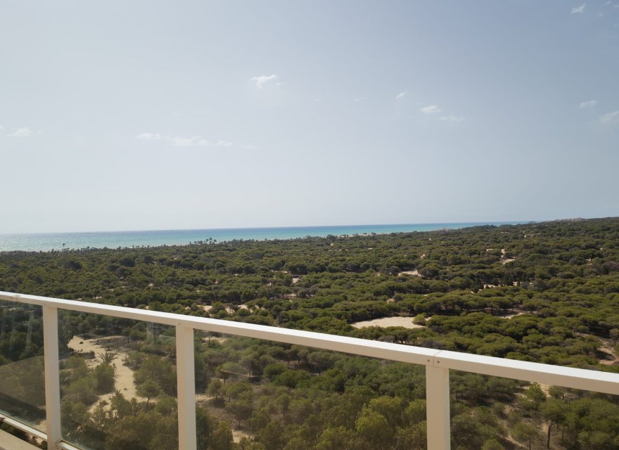 Resale - Apartment - Guardamar del Segura