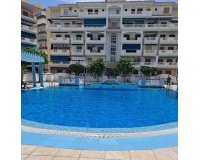 Resale - Apartment - La Mata