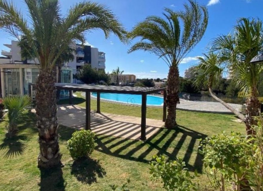 Resale - Apartment - Orihuela Costa - Costa Blanca
