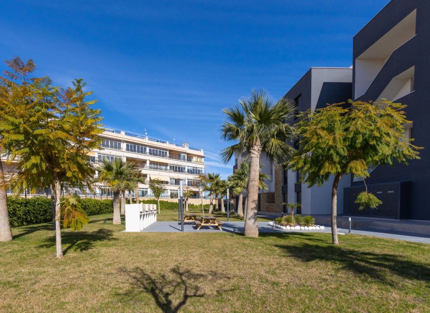 Resale - Apartment - Orihuela Costa - Playa Flamenca