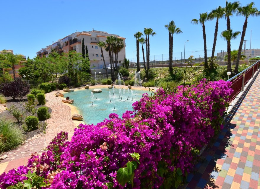 Resale - Apartment - Orihuela Costa - Playa Flamenca