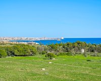 Resale - Apartment - Orihuela Costa - Punta Prima