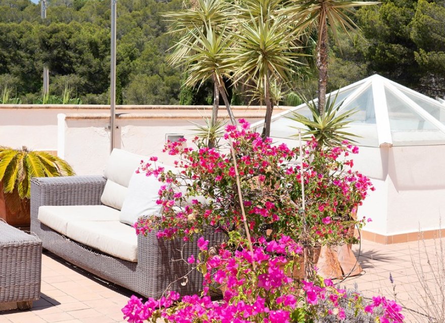 Resale - Apartment - Palma de Mallorca - Cala Mayor