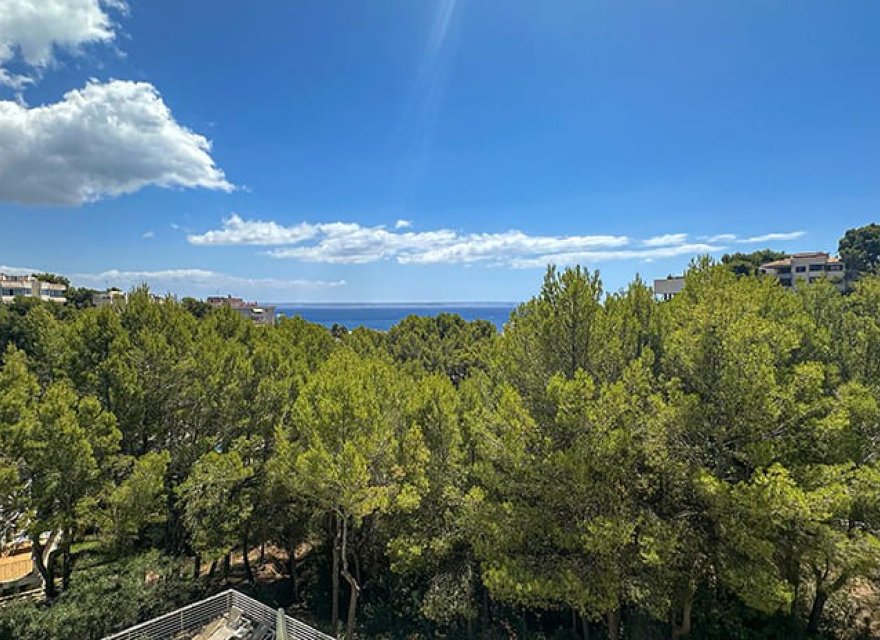 Resale - Apartment - Palma de Mallorca - Cas Catala